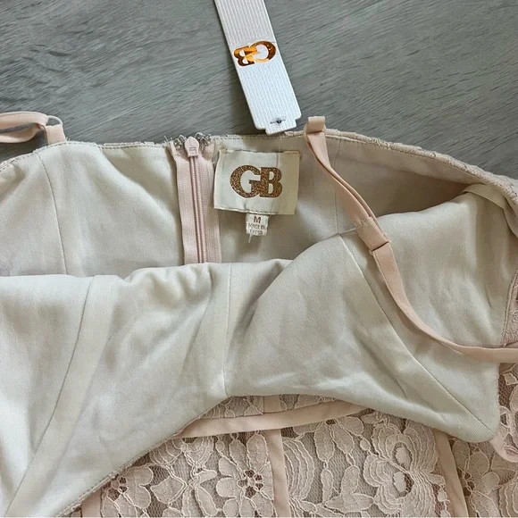 NWT GB Lace Feather Trim dress